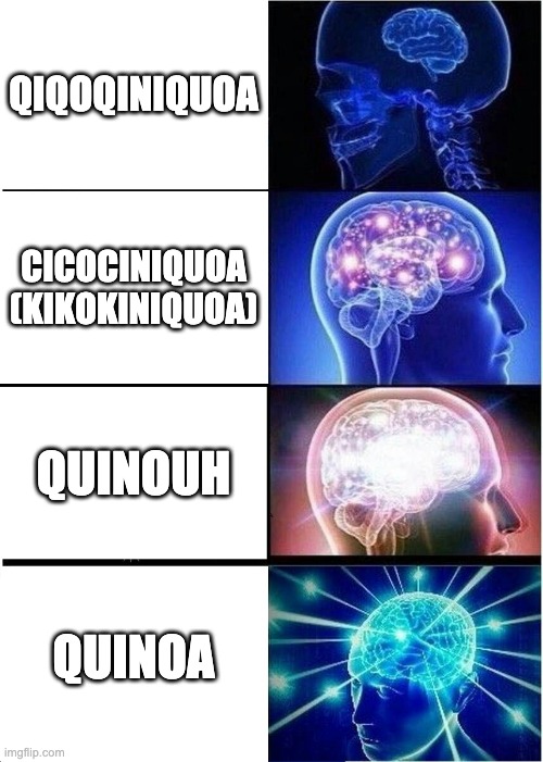 Expanding Brain | QIQOQINIQUOA; CICOCINIQUOA (KIKOKINIQUOA); QUINOUH; QUINOA | image tagged in memes,expanding brain | made w/ Imgflip meme maker