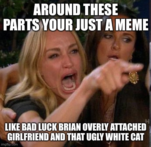 Screaming At | AROUND THESE PARTS YOUR JUST A MEME LIKE BAD LUCK BRIAN OVERLY ATTACHED GIRLFRIEND AND THAT UGLY WHITE CAT | image tagged in screaming at | made w/ Imgflip meme maker