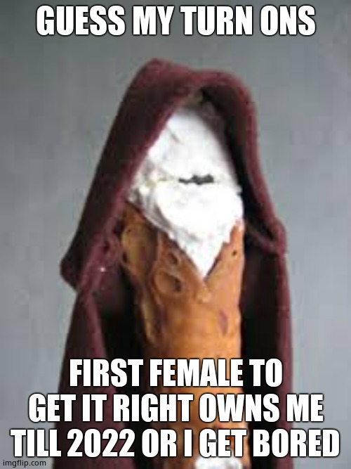 She* | GUESS MY TURN ONS; FIRST FEMALE TO GET IT RIGHT OWNS ME TILL 2022 OR I GET BORED | image tagged in obi wan cannoli | made w/ Imgflip meme maker
