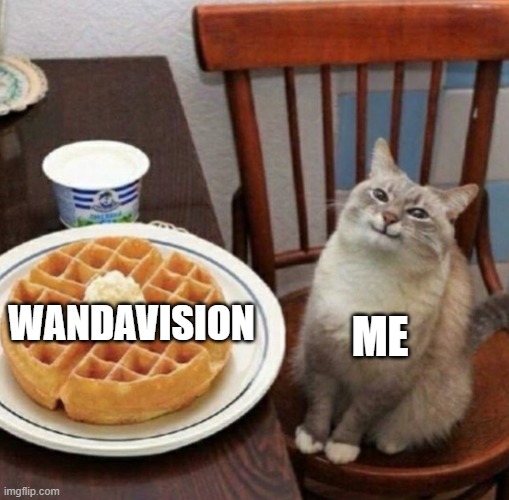 This one's nice and simple =) |  ME; WANDAVISION | image tagged in cat likes their waffle | made w/ Imgflip meme maker