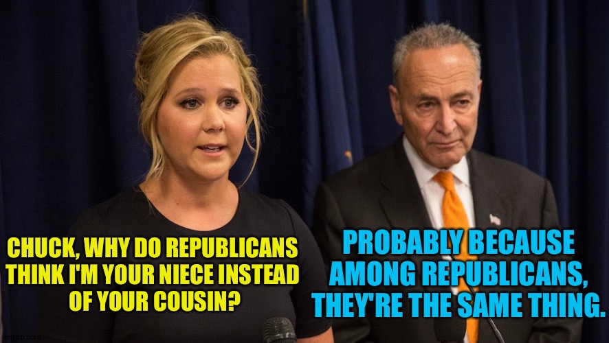 Relativity | CHUCK, WHY DO REPUBLICANS 
THINK I'M YOUR NIECE INSTEAD 
OF YOUR COUSIN? PROBABLY BECAUSE AMONG REPUBLICANS, THEY'RE THE SAME THING. | image tagged in schumers | made w/ Imgflip meme maker
