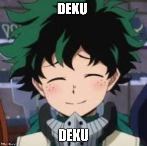 Deku smile | DEKU; DEKU | image tagged in deku wholesome smile | made w/ Imgflip meme maker
