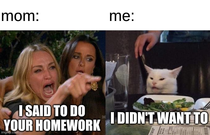 me after school | mom:; me:; I SAID TO DO YOUR HOMEWORK; I DIDN'T WANT TO | image tagged in memes,woman yelling at cat | made w/ Imgflip meme maker