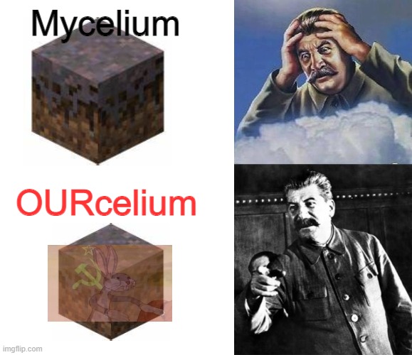 Mycelium; OURcelium | image tagged in stalin hotline bling | made w/ Imgflip meme maker