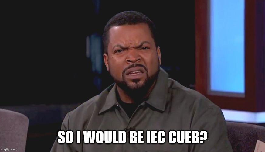 Really? Ice Cube | SO I WOULD BE IEC CUEB? | image tagged in really ice cube | made w/ Imgflip meme maker