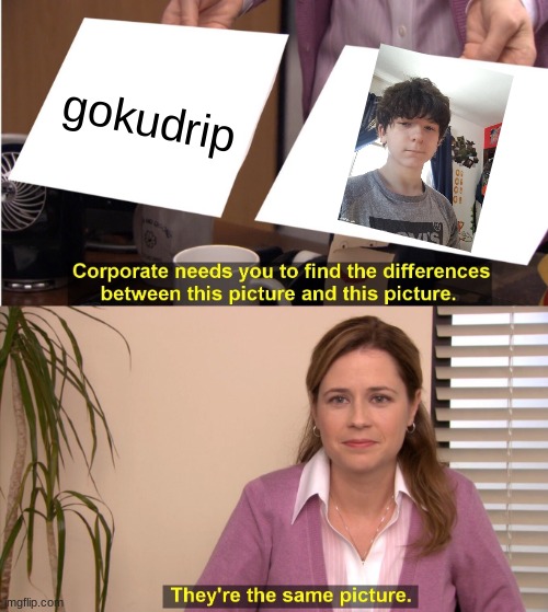 They're The Same Picture Meme | gokudrip | image tagged in memes,they're the same picture,goku drip,sucks,upvote beggars,smh | made w/ Imgflip meme maker
