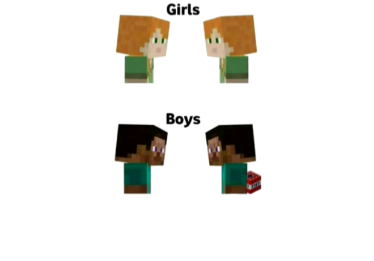 Girls VS Boys Blank Meme Template