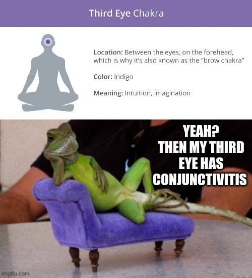 YEAH? THEN MY THIRD EYE HAS CONJUNCTIVITIS | image tagged in memes,sassy iguana,funny,therapy,mental health | made w/ Imgflip meme maker
