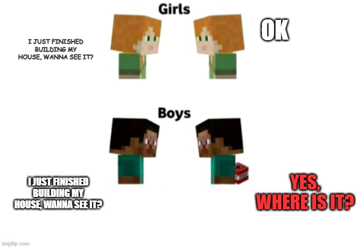 Destruction!!! | OK; I JUST FINISHED BUILDING MY HOUSE, WANNA SEE IT? YES, WHERE IS IT? I JUST FINISHED BUILDING MY HOUSE, WANNA SEE IT? | image tagged in girls vs boys | made w/ Imgflip meme maker