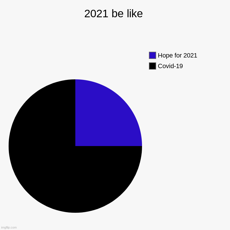 2021 be like | 2021 be like | Covid-19, Hope for 2021 | image tagged in charts,pie charts,2021,covid-19 | made w/ Imgflip chart maker