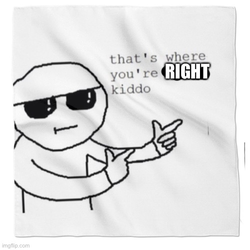 that's where youre wrong kiddo! | RIGHT | image tagged in that's where youre wrong kiddo | made w/ Imgflip meme maker