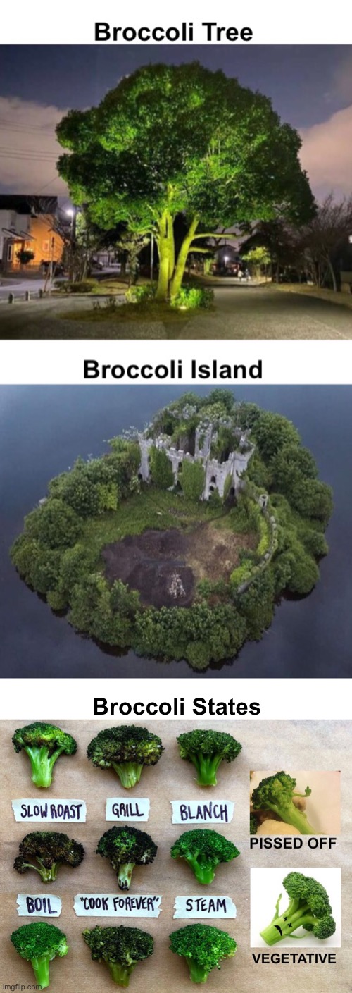 No cheese? | Broccoli States | image tagged in funny memes,broccoli | made w/ Imgflip meme maker