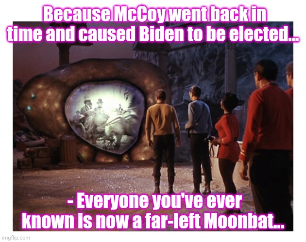 We must go back & fix it, we all must try | Because McCoy went back in time and caused Biden to be elected... - Everyone you've ever known is now a far-left Moonbat... | image tagged in star trek,original,television series,among us,butthurt liberals | made w/ Imgflip meme maker