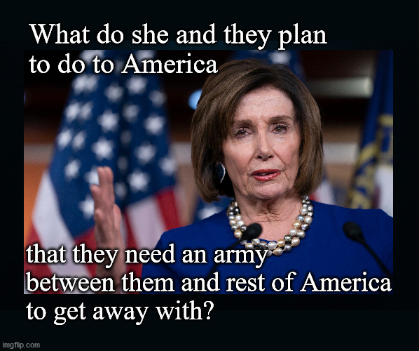 What does Pelosi intend? | What do she and they plan
to do to America; that they need an army 
between them and rest of America 
to get away with? | image tagged in politics | made w/ Imgflip meme maker