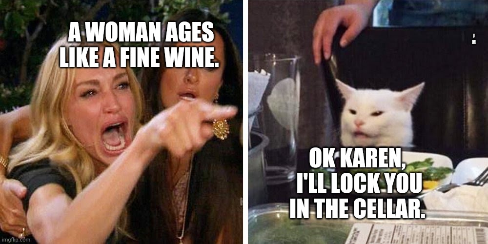 Smudge the cat | A WOMAN AGES LIKE A FINE WINE. J M; OK KAREN,  I'LL LOCK YOU IN THE CELLAR. | image tagged in smudge the cat | made w/ Imgflip meme maker