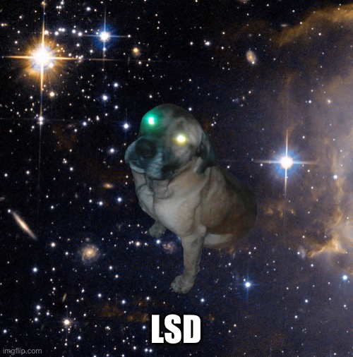 LSD Dowg | LSD | image tagged in lsd dowg | made w/ Imgflip meme maker