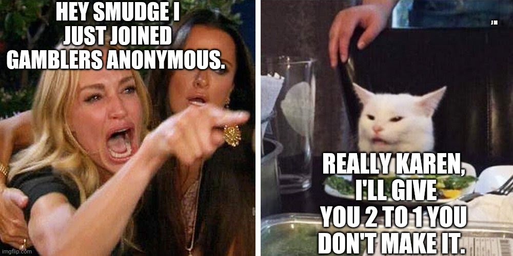 Smudge the cat | HEY SMUDGE I JUST JOINED GAMBLERS ANONYMOUS. J M; REALLY KAREN,  I'LL GIVE YOU 2 TO 1 YOU DON'T MAKE IT. | image tagged in smudge the cat | made w/ Imgflip meme maker