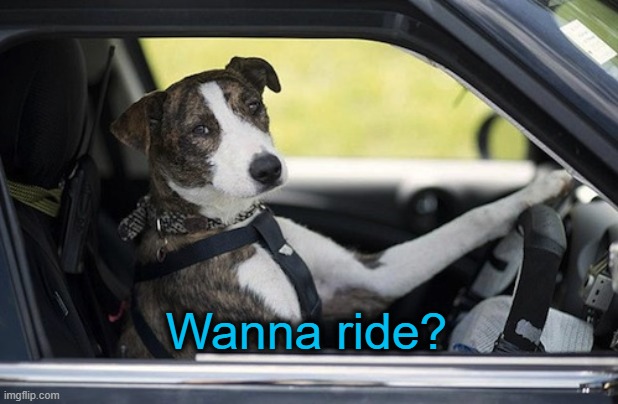 Wanna ride? | made w/ Imgflip meme maker