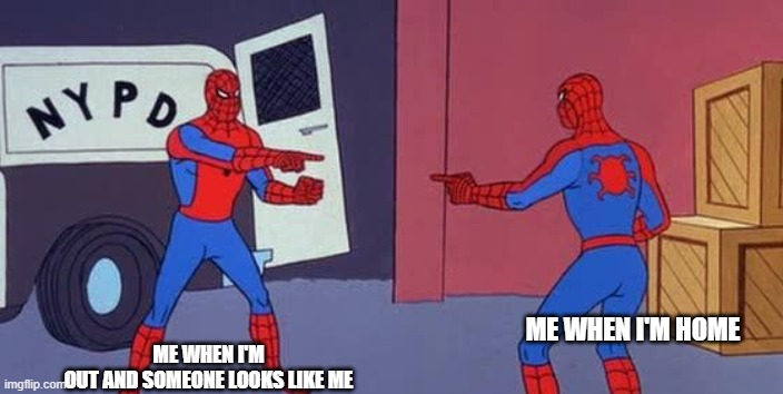 Spider Man Double | ME WHEN I'M OUT AND SOMEONE LOOKS LIKE ME; ME WHEN I'M HOME | image tagged in spider man double | made w/ Imgflip meme maker