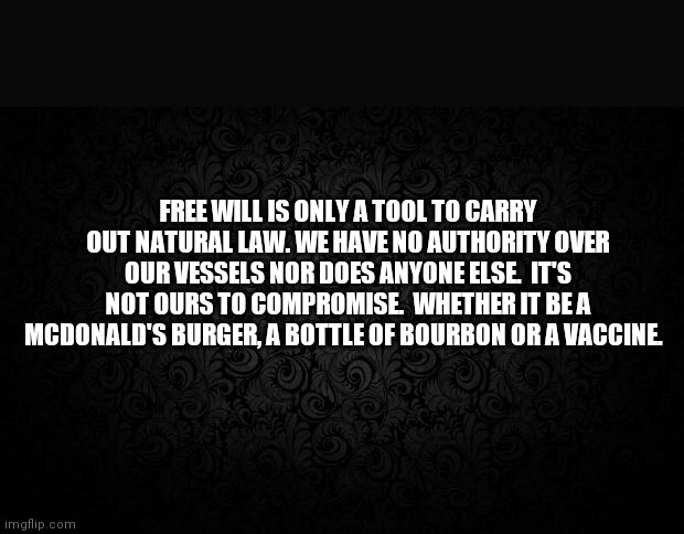 Black Background | FREE WILL IS ONLY A TOOL TO CARRY OUT NATURAL LAW. WE HAVE NO AUTHORITY OVER OUR VESSELS NOR DOES ANYONE ELSE.  IT'S NOT OURS TO COMPROMISE.  WHETHER IT BE A MCDONALD'S BURGER, A BOTTLE OF BOURBON OR A VACCINE. | image tagged in black background | made w/ Imgflip meme maker