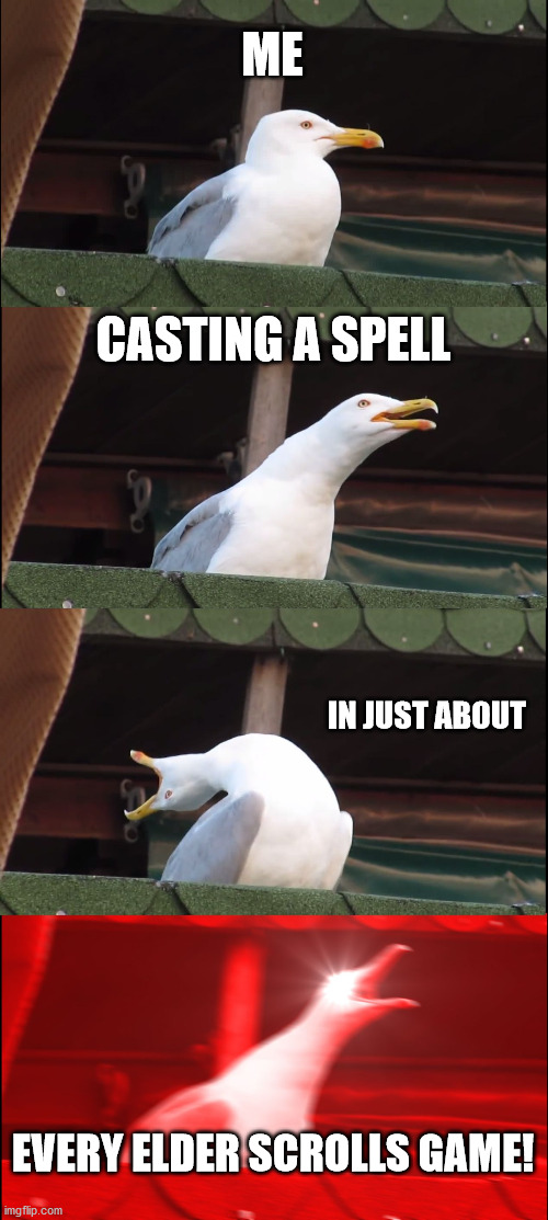 Elder Scrolls Spells | ME; CASTING A SPELL; IN JUST ABOUT; EVERY ELDER SCROLLS GAME! | image tagged in memes,inhaling seagull | made w/ Imgflip meme maker