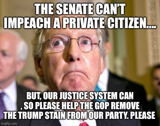 mitch mcconnell | THE SENATE CAN’T IMPEACH A PRIVATE CITIZEN.... BUT, OUR JUSTICE SYSTEM CAN , SO PLEASE HELP THE GOP REMOVE THE TRUMP STAIN FROM OUR PARTY. PLEASE | image tagged in mitch mcconnell | made w/ Imgflip meme maker
