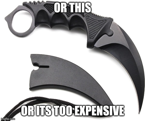 OR THIS OR ITS TOO EXPENSIVE | made w/ Imgflip meme maker