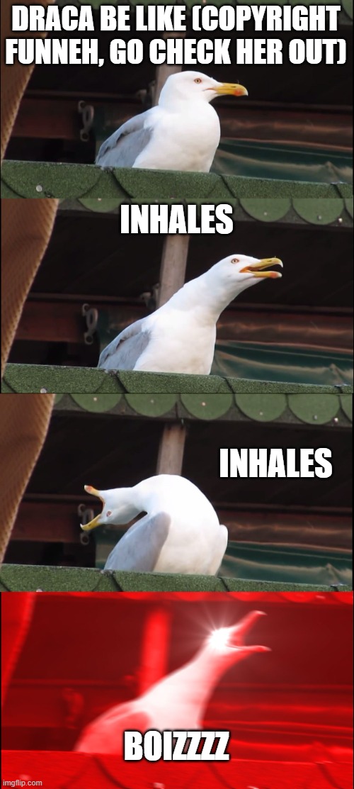 Draca screaming boizzz | DRACA BE LIKE (COPYRIGHT FUNNEH, GO CHECK HER OUT); INHALES; INHALES; BOIZZZZ | image tagged in memes,inhaling seagull | made w/ Imgflip meme maker