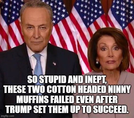 SO STUPID AND INEPT, THESE TWO COTTON HEADED NINNY MUFFINS FAILED EVEN AFTER TRUMP SET THEM UP TO SUCCEED. | made w/ Imgflip meme maker