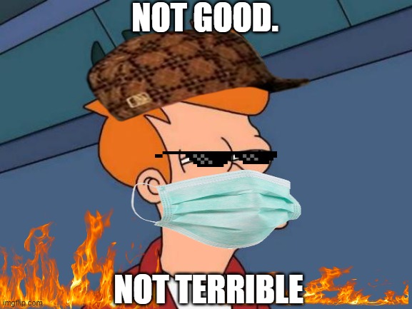 Futurama Fry Meme | NOT GOOD. NOT TERRIBLE | image tagged in memes,futurama fry | made w/ Imgflip meme maker