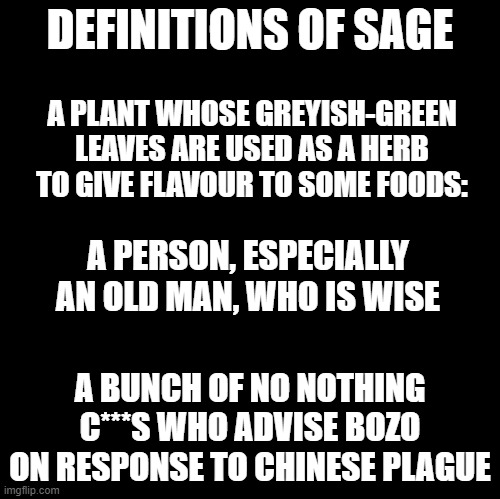 Blank | DEFINITIONS OF SAGE; A PLANT WHOSE GREYISH-GREEN LEAVES ARE USED AS A HERB TO GIVE FLAVOUR TO SOME FOODS:; A PERSON, ESPECIALLY AN OLD MAN, WHO IS WISE; A BUNCH OF NO NOTHING C***S WHO ADVISE BOZO ON RESPONSE TO CHINESE PLAGUE | image tagged in blank | made w/ Imgflip meme maker