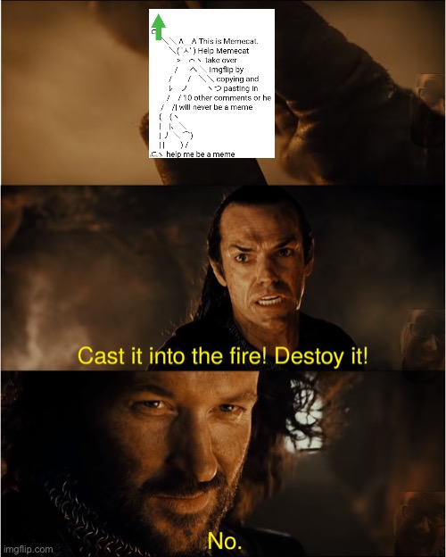 cast it into the fire | image tagged in cast it into the fire | made w/ Imgflip meme maker