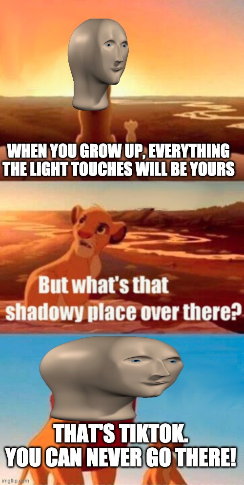 Simba Shadowy Place Meme | WHEN YOU GROW UP, EVERYTHING THE LIGHT TOUCHES WILL BE YOURS; THAT'S TIKTOK. YOU CAN NEVER GO THERE! | image tagged in memes,simba shadowy place,memenade | made w/ Imgflip meme maker