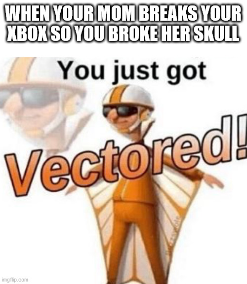 You just got vectored | WHEN YOUR MOM BREAKS YOUR XBOX SO YOU BROKE HER SKULL | image tagged in you just got vectored | made w/ Imgflip meme maker