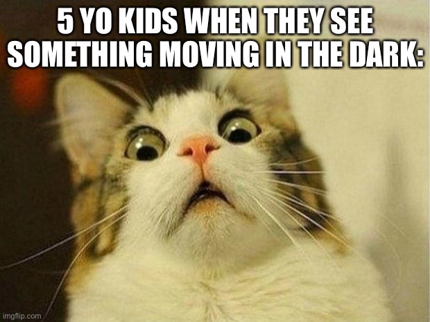 Scared Cat Meme | 5 YO KIDS WHEN THEY SEE SOMETHING MOVING IN THE DARK: | image tagged in memes,scared cat | made w/ Imgflip meme maker