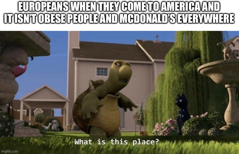 What is this place | EUROPEANS WHEN THEY COME TO AMERICA AND IT ISN’T OBESE PEOPLE AND MCDONALD’S EVERYWHERE | image tagged in what is this place | made w/ Imgflip meme maker
