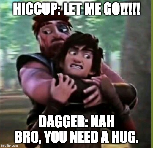 "LET ME GO" | HICCUP: LET ME GO!!!!! DAGGER: NAH BRO, YOU NEED A HUG. | image tagged in let me go | made w/ Imgflip meme maker