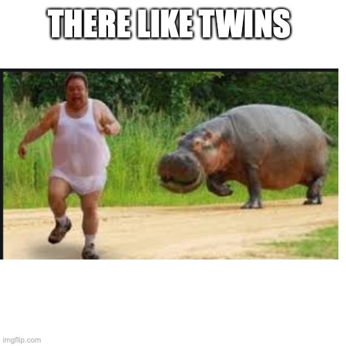 they look the same | THERE LIKE TWINS | image tagged in fat man meme | made w/ Imgflip meme maker