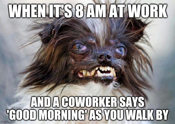 True story... | WHEN IT'S 8 AM AT WORK; AND A COWORKER SAYS 'GOOD MORNING' AS YOU WALK BY | image tagged in relatable,work,insomnia,nocturnal,coworkers,loathing | made w/ Imgflip meme maker
