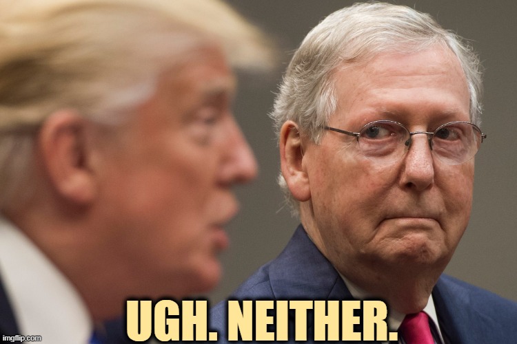 Trump, McConnell, None of the above | UGH. NEITHER. | image tagged in trump mcconnell none of the above,trump,mitch mcconnell,awful,disgusting | made w/ Imgflip meme maker