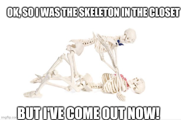 OK, SO I WAS THE SKELETON IN THE CLOSET; BUT I'VE COME OUT NOW! | image tagged in skeleton in the closet | made w/ Imgflip meme maker