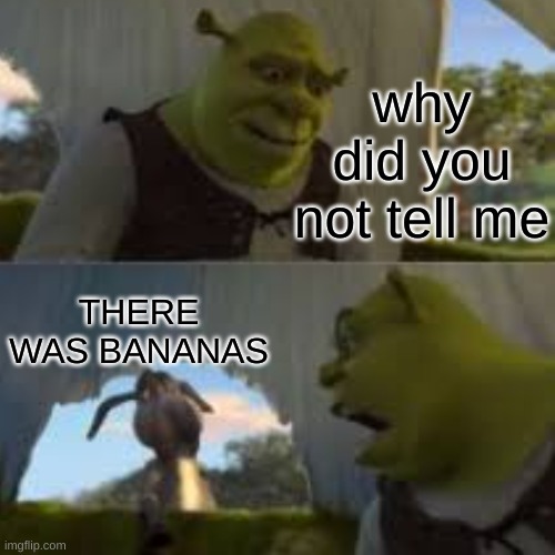 banana good |  why did you not tell me; THERE WAS BANANAS | image tagged in shrek for five minutes,funny memes,banana | made w/ Imgflip meme maker