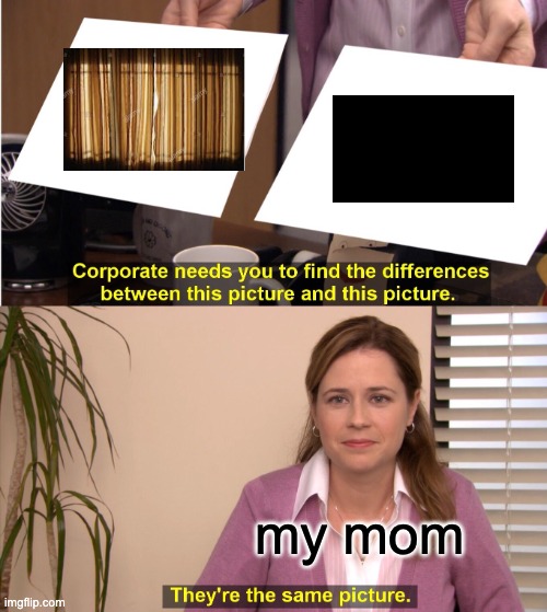 :| |  my mom | image tagged in memes,they're the same picture,moms | made w/ Imgflip meme maker