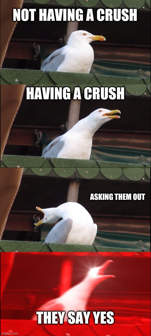 get 'em | NOT HAVING A CRUSH; HAVING A CRUSH; ASKING THEM OUT; THEY SAY YES | image tagged in memes,inhaling seagull | made w/ Imgflip meme maker