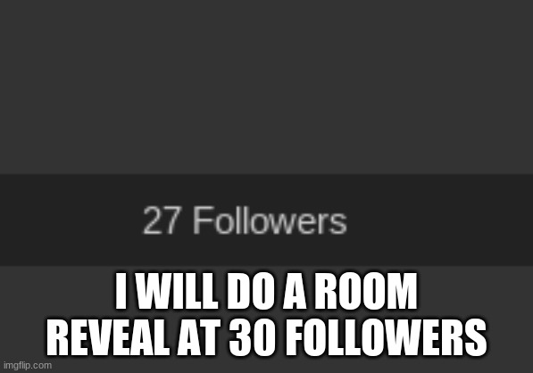 3 more! | I WILL DO A ROOM REVEAL AT 30 FOLLOWERS | image tagged in memes,funny,funny memes | made w/ Imgflip meme maker