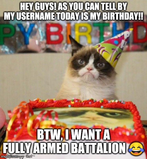 it's my birthday... | HEY GUYS! AS YOU CAN TELL BY MY USERNAME TODAY IS MY BIRTHDAY!! BTW, I WANT A FULLY ARMED BATTALION 😂 | image tagged in memes,grumpy cat birthday,grumpy cat,happy birthday,hamilton | made w/ Imgflip meme maker