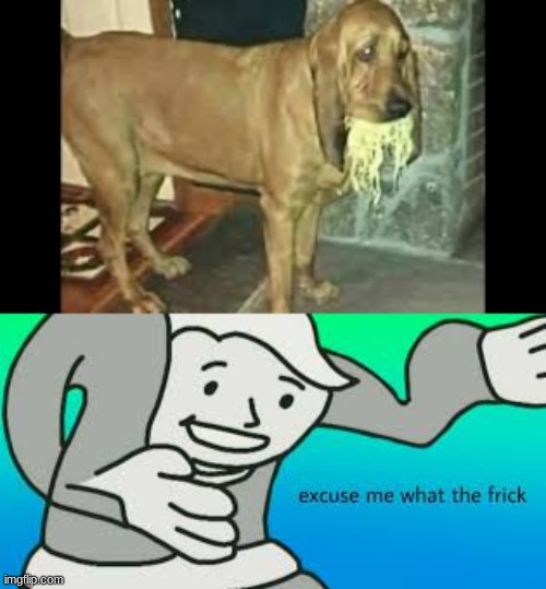 This scares me | image tagged in memes,funny,funny memes,cursed image | made w/ Imgflip meme maker