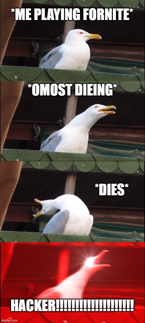 Inhaling Seagull | *ME PLAYING FORNITE*; *OMOST DIEING*; *DIES*; HACKER!!!!!!!!!!!!!!!!!!!! | image tagged in memes,inhaling seagull | made w/ Imgflip meme maker