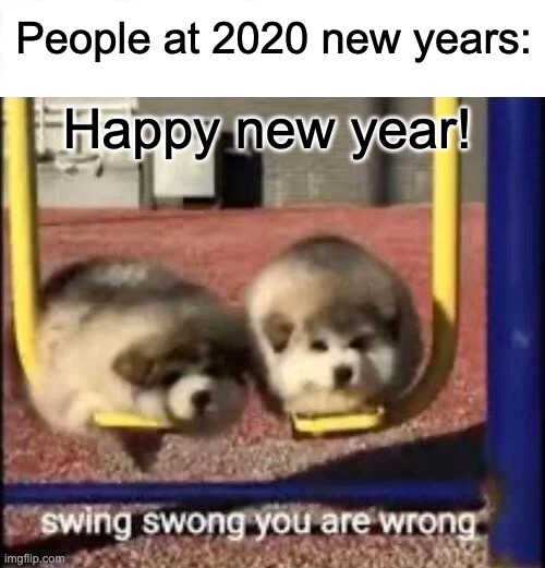SWING SWONG YOU ARE WRONG | People at 2020 new years:; Happy new year! | image tagged in swing swong you are wrong | made w/ Imgflip meme maker