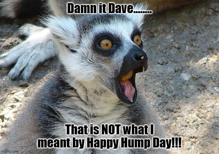 Hump Day | Damn it Dave........ That is NOT what I meant by Happy Hump Day!!! | image tagged in humor,hump day | made w/ Imgflip meme maker